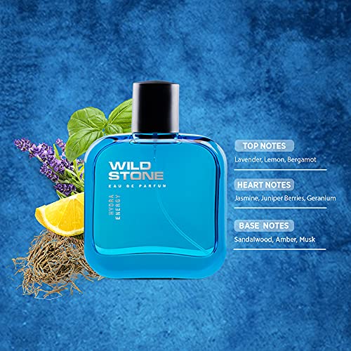 Wild Stone Hydra Energy Perfume Spray for Men, 100ml, All-purpose Perfume for Active Men, Citrus Freshness and Aquatic Energy