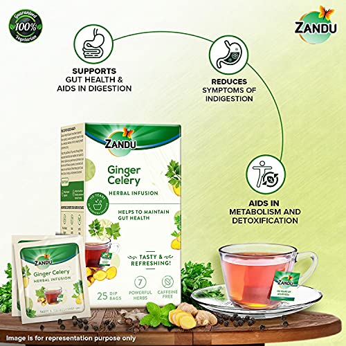 Zandu Ginger Celery Herbal Infusion, a Herbal Tea Enriched with Ayurvedic Ingredients (25 Tea Bags)