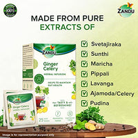 Zandu Ginger Celery Herbal Infusion, a Herbal Tea Enriched with Ayurvedic Ingredients (25 Tea Bags)