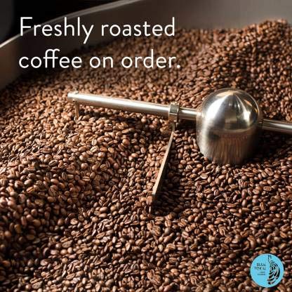 Blue Tokai Coffee Roasters Sandalwood Estate Arabica Freshly Roasted (Medium Dark Roast) Coffee | 250 g (Whole Bean)