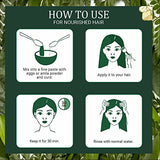 INDUS VALLEY Neem Leaf Powder | Azadirachta indica With Multani Mitti Powder | Healing Clay - 100% Natural, Pure and Organic For Hair and Skin Care (100g+200g=300g)