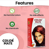 Color Mate Hair Color Cream, Burgundy, 130ml (Pack of 2)