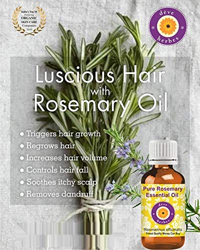 Deve Herbes Rosemary Essential Oil (Rosmarinus officinalis) Natural Therapeutic Grade Steam Distilled with Glass Dropper 15ml