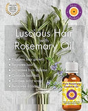Deve Herbes Rosemary Essential Oil (Rosmarinus officinalis) Natural Therapeutic Grade Steam Distilled with Glass Dropper 15ml