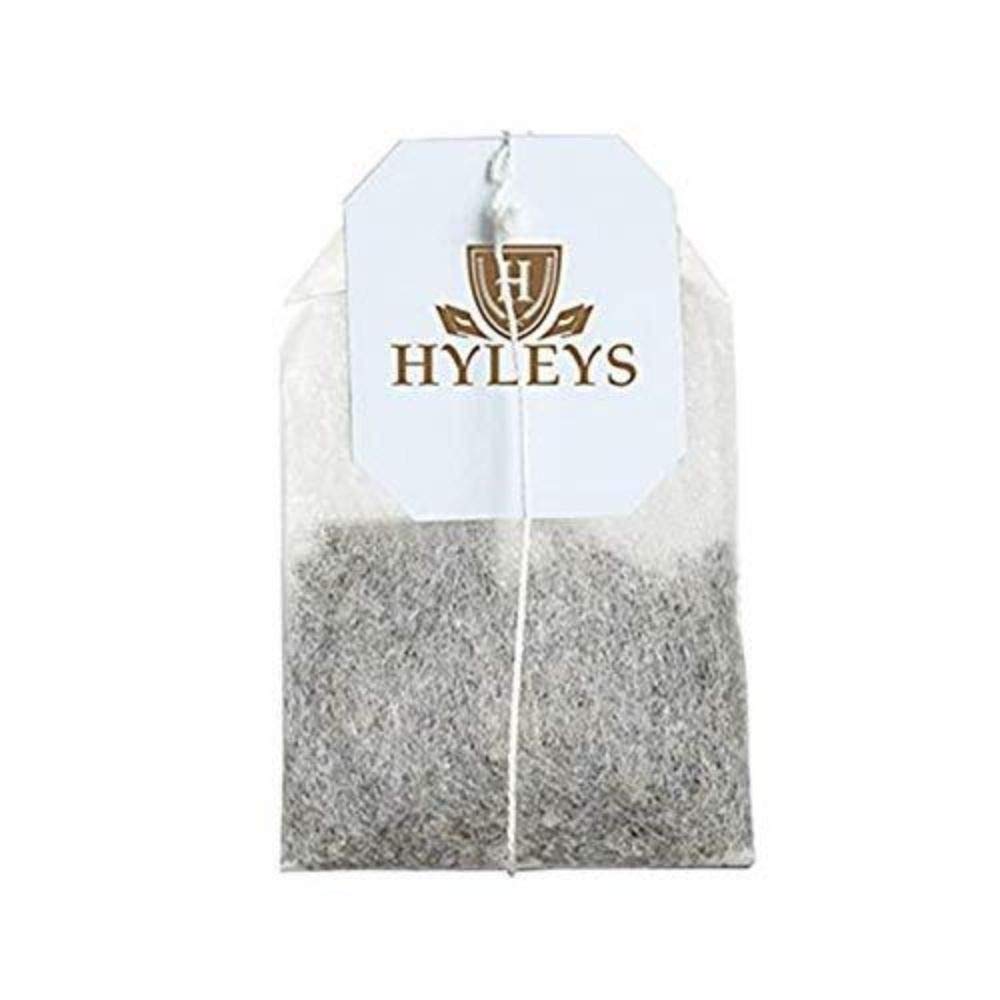 Hyleys Tea Organic Green Tea with Soursop Flavor - 25 Tea Bags (100% Natural, Sugar Free, Gluten Free and Non-GMO)