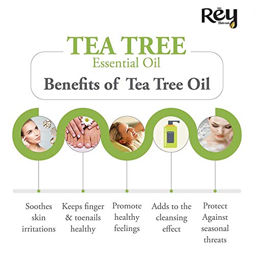 Rey Naturals Tea tree oil for Aromatherapy - Tea Tree Essential Oil for Healthy Skin, Face, and Hair - 100% Organic Remedy for Dandruff, Acne - 30 ml (15 ml x 2) super saver combo