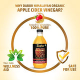 DABUR Himalayan Organic Apple Cider Vinegar with Mother of Vinegar |100% Pure| USDA Organic Certified |Raw, Unfiltered and Unpasteurized|Helps Boost Immunity - 500 ml