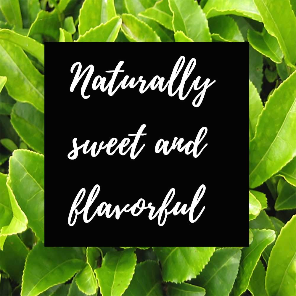 Shangri-La Tea Company Iced Tea, Passion Berry, Unsweetened and All Natural, (5056), Bag of 6, 1/2 Oz Pouches