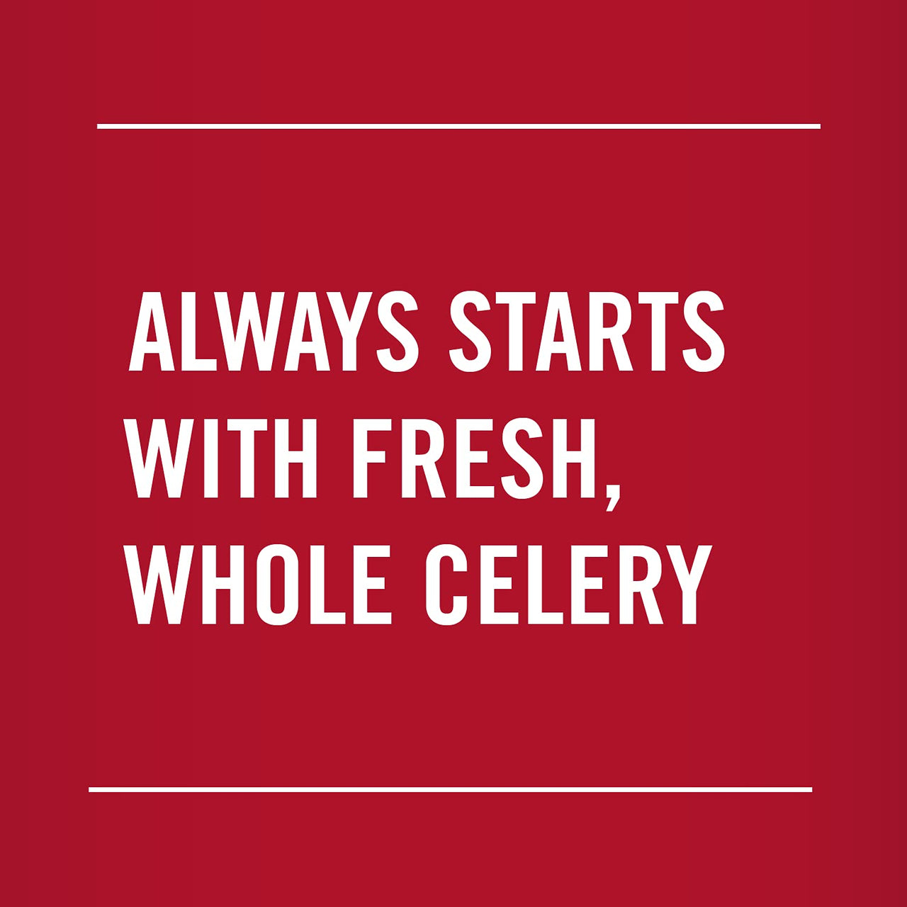 McCormick Celery Flakes, 0.5 oz (Pack of 6)