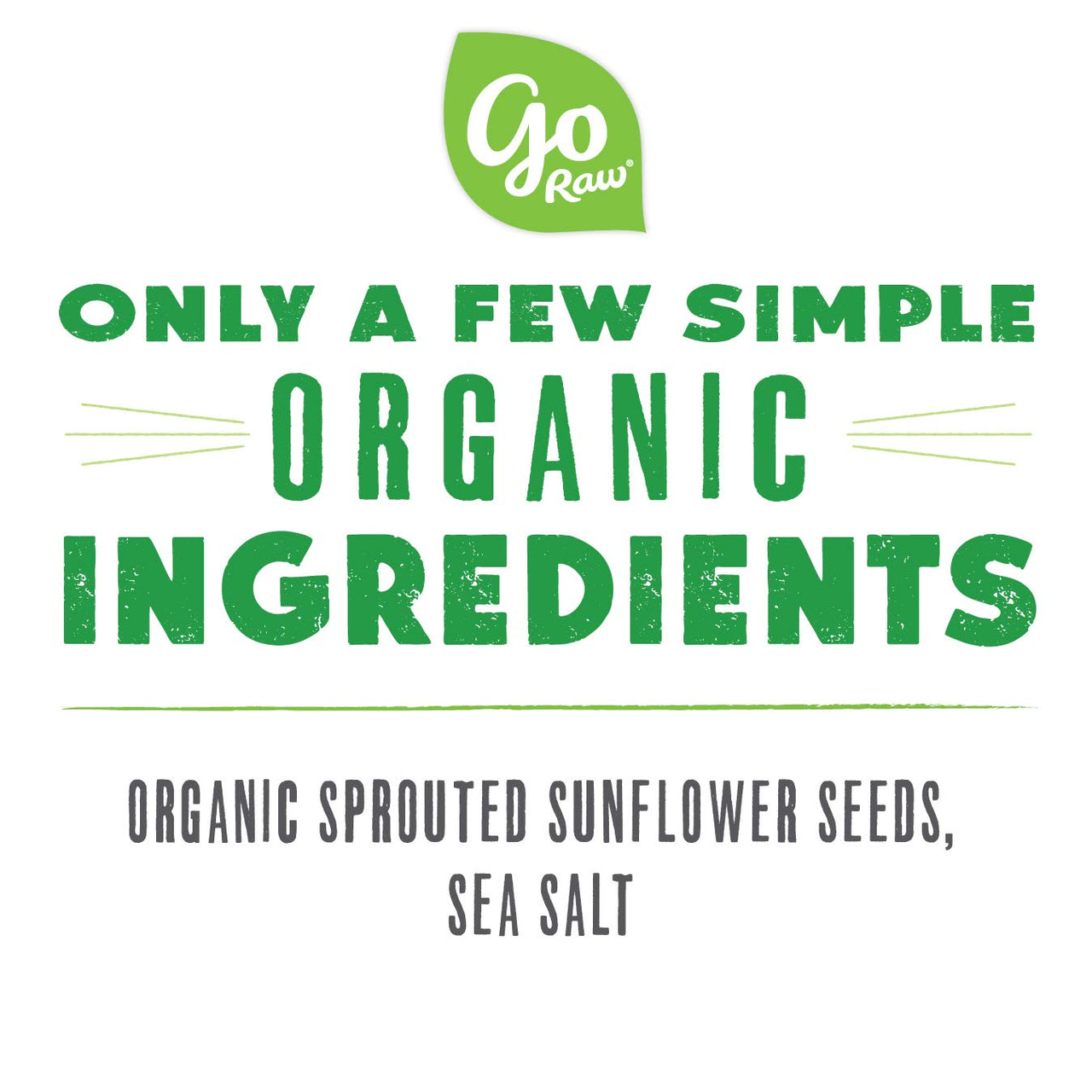 go Raw with Sea Salt Sprouted Organic Bag Keto Vegan Gluten Free Snacks Superfood, Sunflower Seeds, 14 Oz