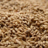 Briess 1927A Pale Ale Malt 3.5L - 1 lb , Brown