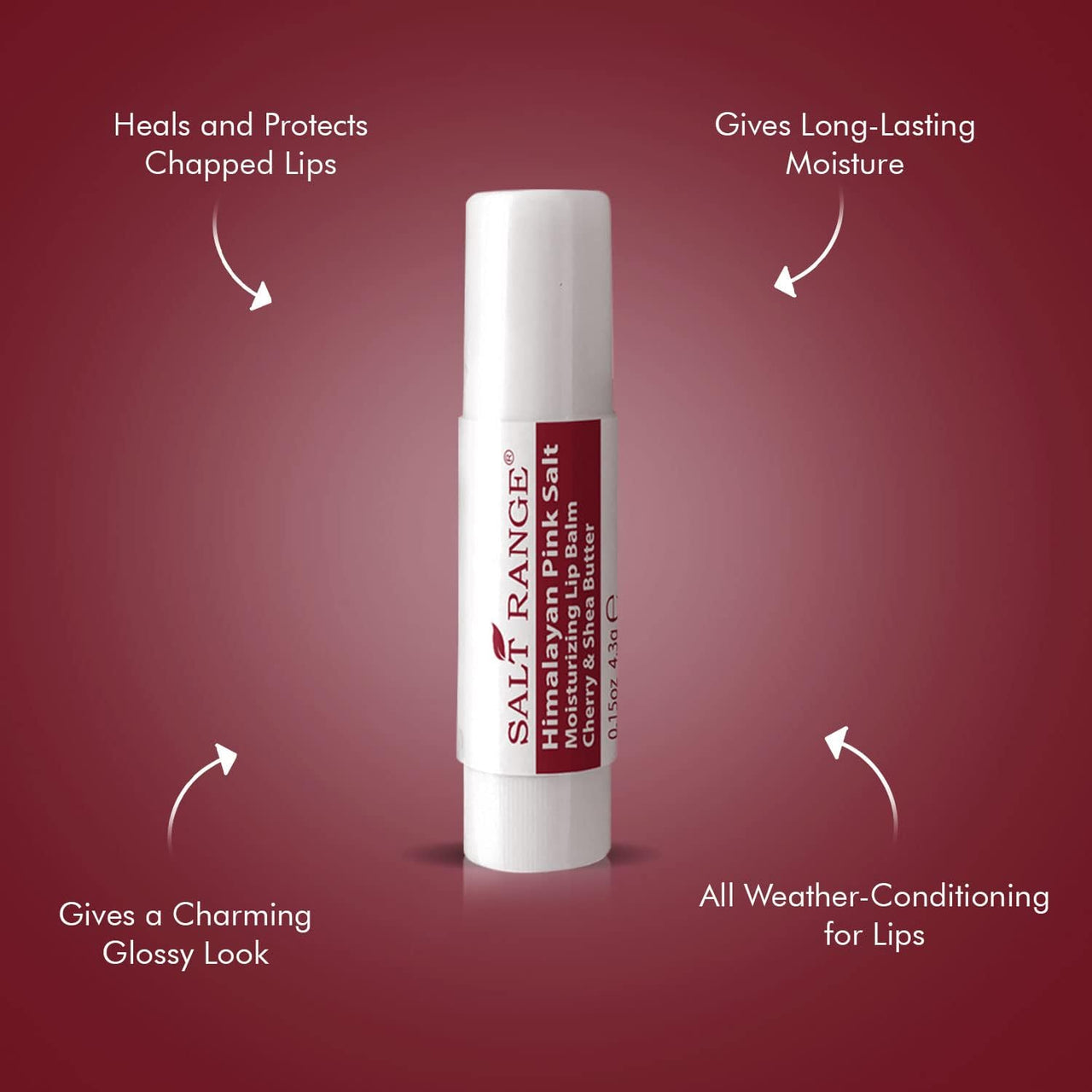 Salt Range Moisturizing Lip Balm Cherry & Shea Butter - Chapstick for Dry, Chapped lips & Cracked lips, Organic Chapstick, 2-Pack, 0.30 Ounce