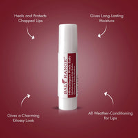 Salt Range Moisturizing Lip Balm Cherry & Shea Butter - Chapstick for Dry, Chapped lips & Cracked lips, Organic Chapstick, 2-Pack, 0.30 Ounce