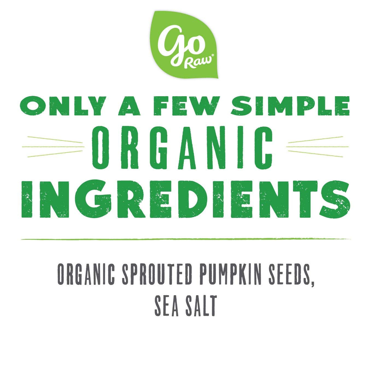 Go Raw Seeds with Sea Salt, Grab and Go, Single Serve, Keto Vegan Gluten Free Organic Superfood, Pumpkin, 12 Ounce