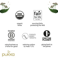 Pukka Tea Advent Calendar, Organic Herbal Tea, Perfect for Gifting, 24 Tea Bags, Red