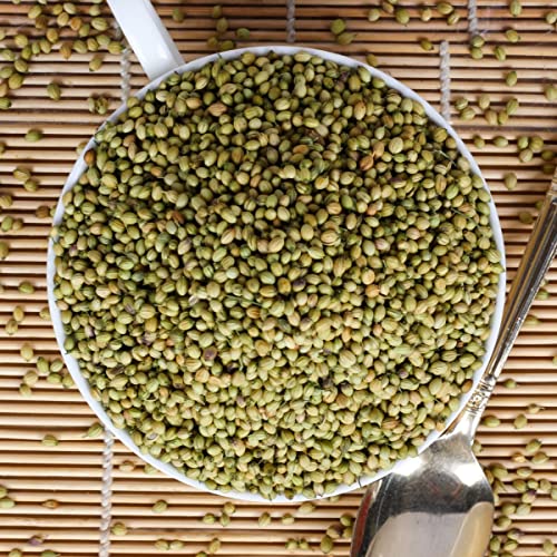 Urban Platter Whole Coriander Seeds (Sabut Dhaniya or Dhana) Shaker Jar, 250g