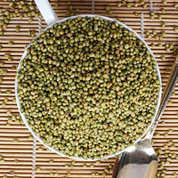 Urban Platter Whole Coriander Seeds (Sabut Dhaniya or Dhana) Shaker Jar, 250g