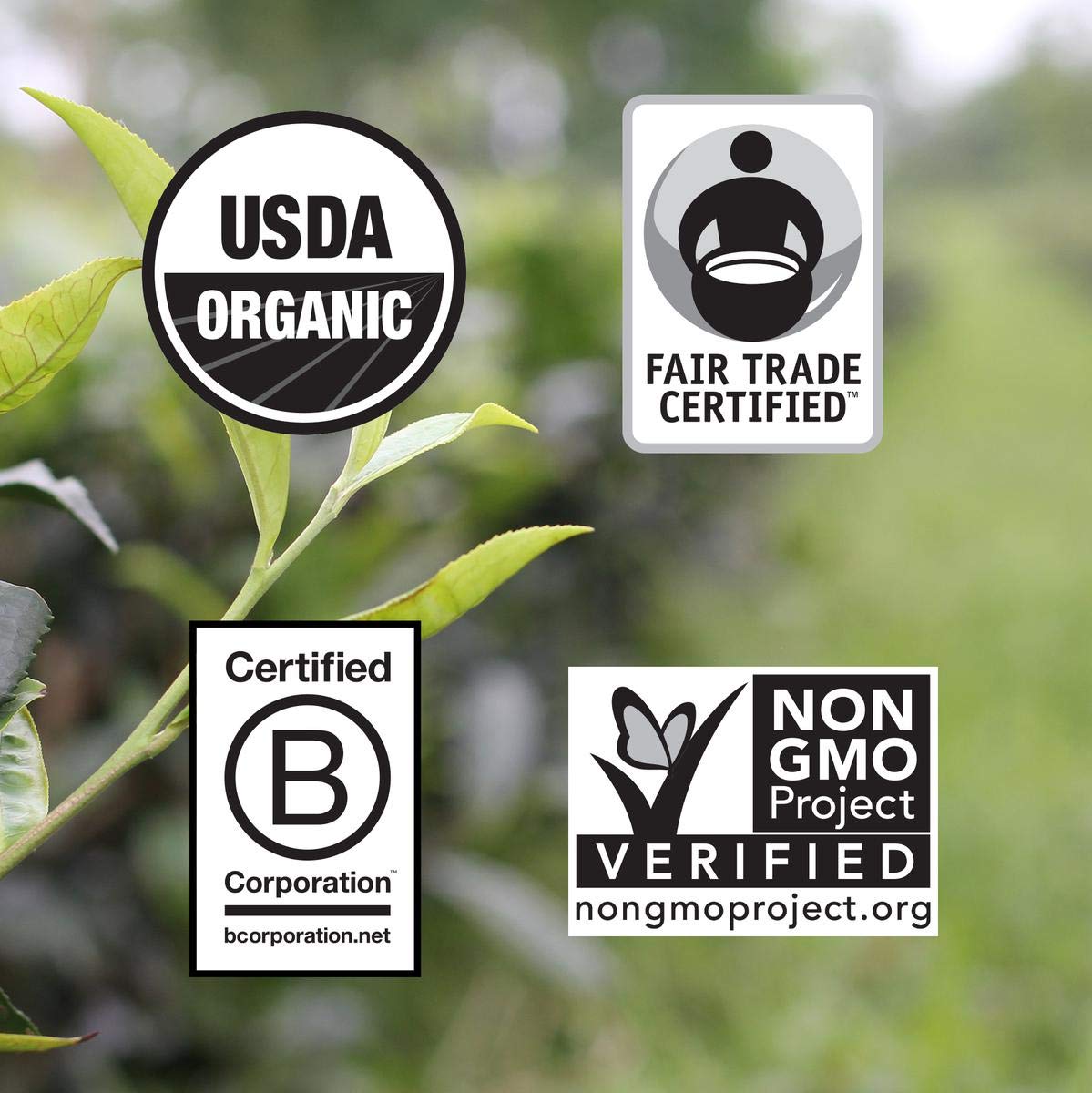 Numi Organic Black Tea, Breakfast Blend, 18 Count (Pack of 3) - Packaging May Vary