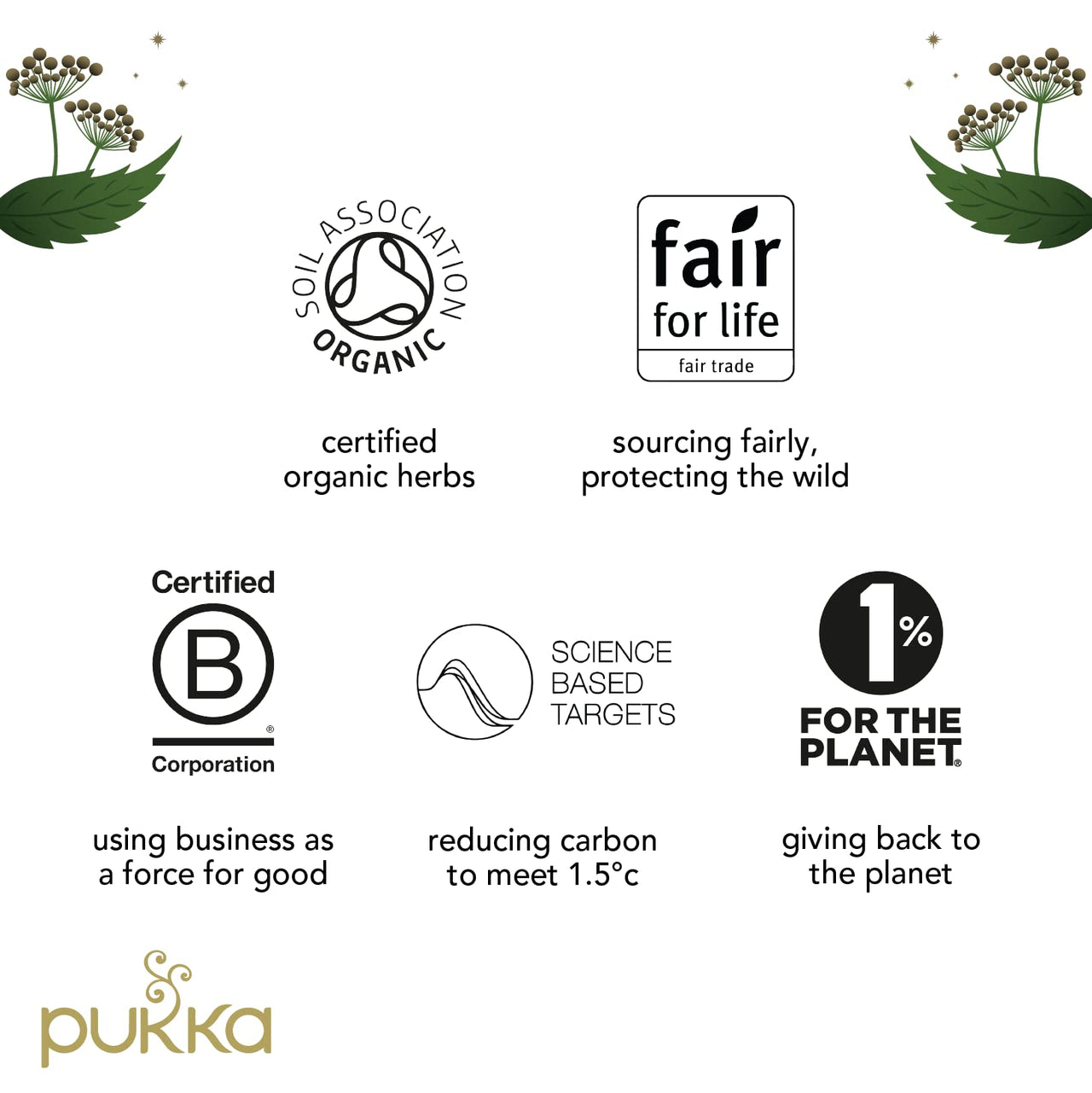 Pukka Tea Advent Calendar, Organic Herbal Tea, Perfect for Gifting, 24 Tea Bags, Red
