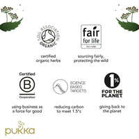 Pukka Tea Advent Calendar, Organic Herbal Tea, Perfect for Gifting, 24 Tea Bags, Red