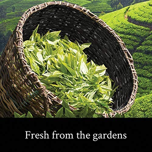 Teamonk Wa High Mountain Oolong Tea Loose Leaf (75 Cups) - 150 g. Helps in Fat Burn. Boosts Metabolism