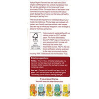HYLEYS Tea Organic Green Tea Peach and Ginger Flavor - 25 Tea Bags (100% Natural, Sugar Free, Gluten Free and Non-GMO)