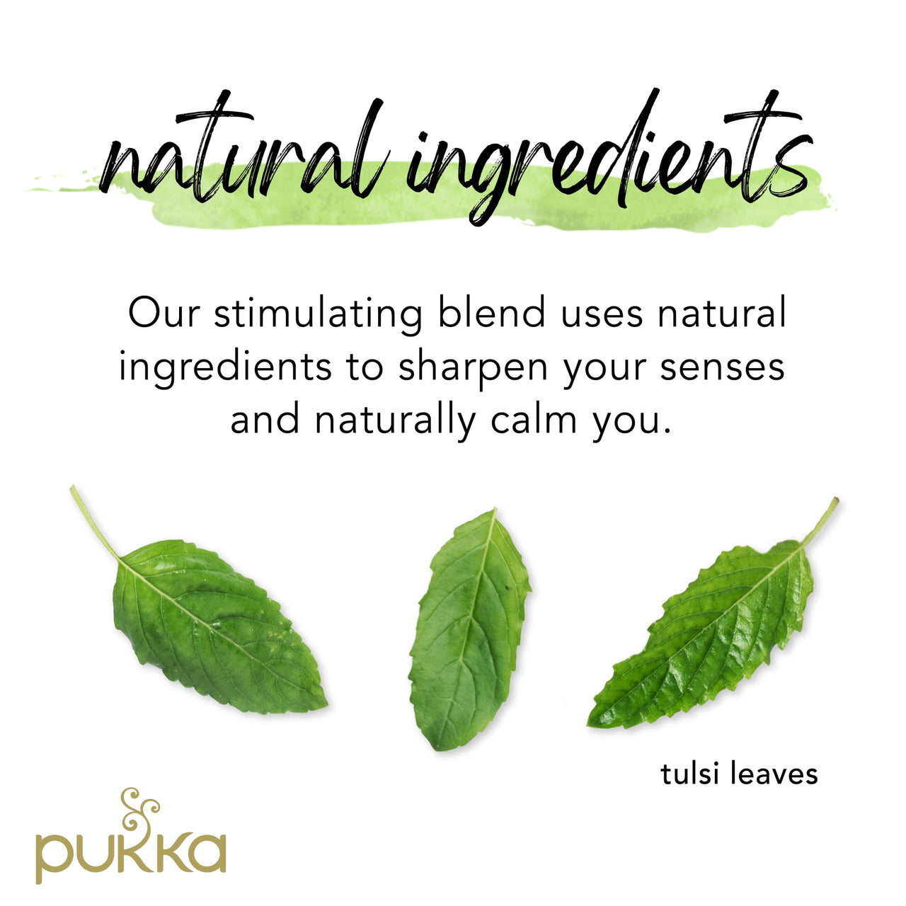 Pukka Organic Tea Bags, Tulsi Clarity, Herbal Holy Basil Tea (3 Pack, 60 Tea Bags)
