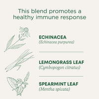 Traditional Medicinals Organic Echinacea Plus Seasonal Tea, 96 Tea Bags(Pack of 6)