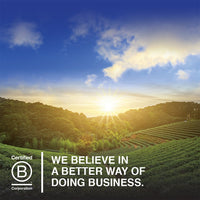 Garden of Life Raw Organic Omega 3 Chia Seeds - Superfood for Healthy Cholesterol and Blood Sugar, 12 oz Pouch - Packaging May Vary