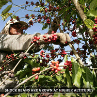 Shock Coffee Single Serve Cups. Up to 50% more Caffeine than Regular Coffee. 12 count - Compatible with Keurig K-Cup Brewers 2.0