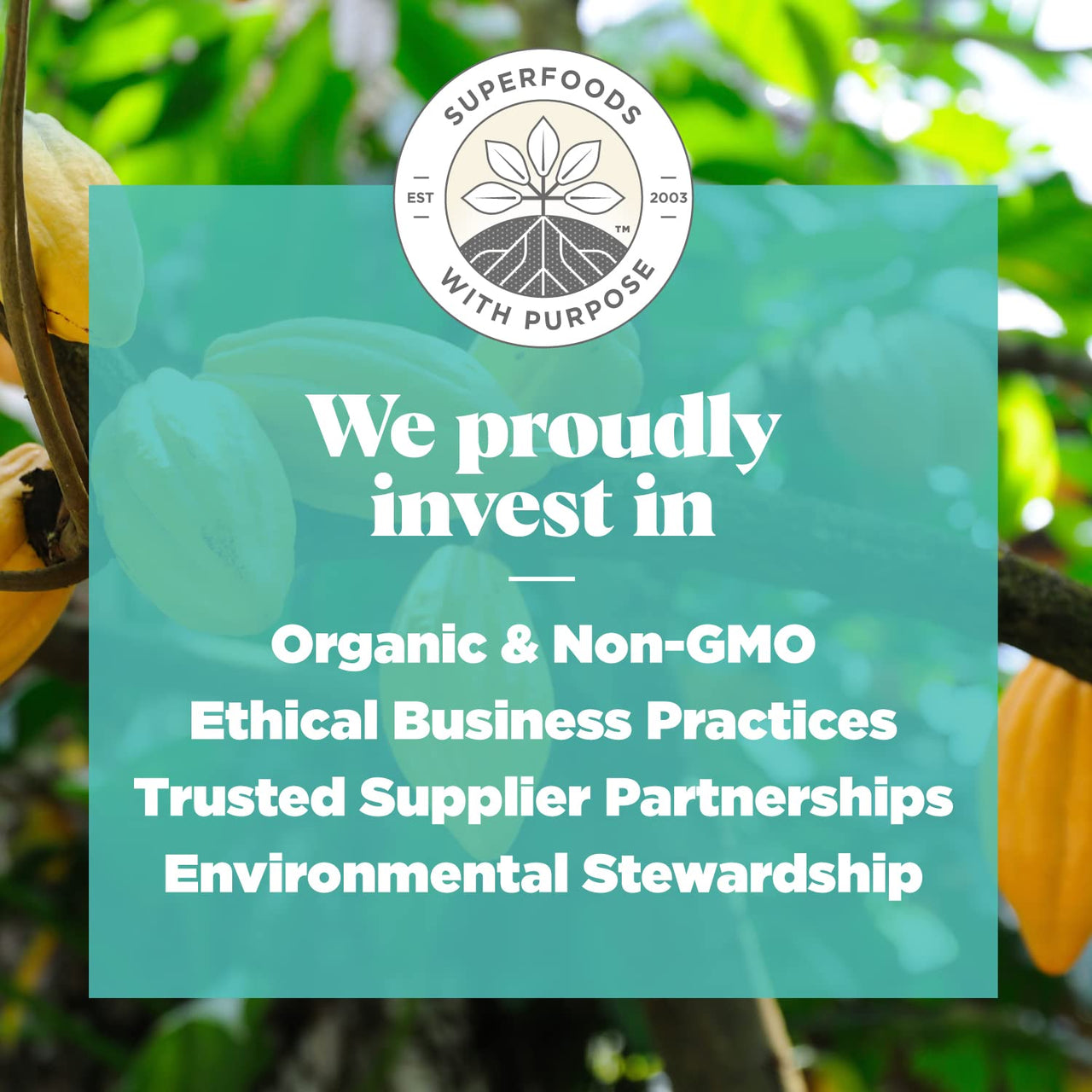 Navitas Organics Superfood Power Snacks, Cacao Goji, 8 oz. Bag, 11 Servings  Organic, Non-GMO, Gluten-Free