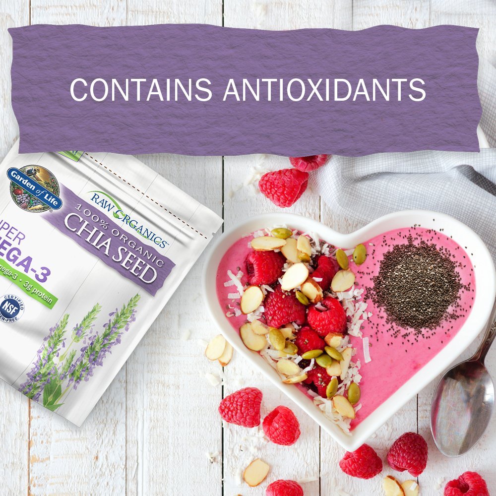 Garden of Life Raw Organic Omega 3 Chia Seeds - Superfood for Healthy Cholesterol and Blood Sugar, 12 oz Pouch - Packaging May Vary