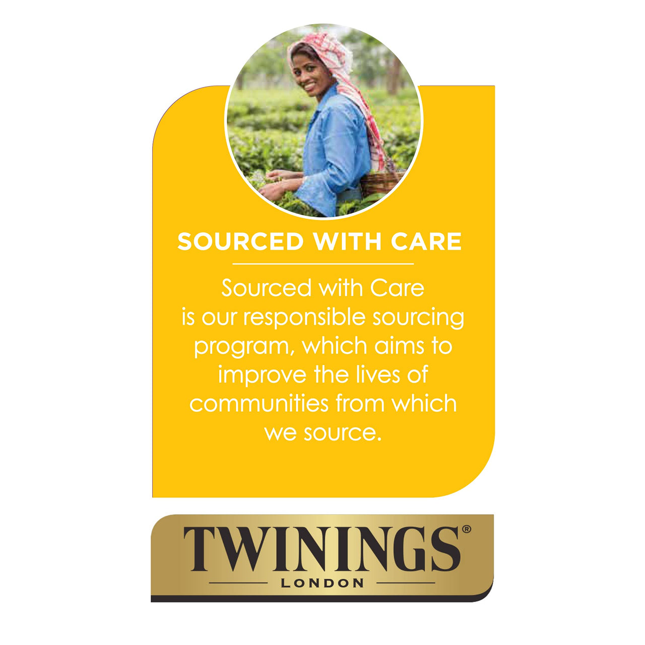 Twinings Superblends Cold Water Infusions Probiotics+ Pineapple & Coconut Flavoured, 10 Cold Water Infusers (Pack of 6)