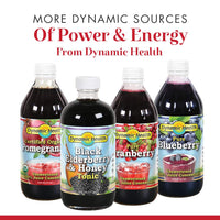 Dynamic Health Juice Concentrate, Black Cherry, 8 Fl Oz