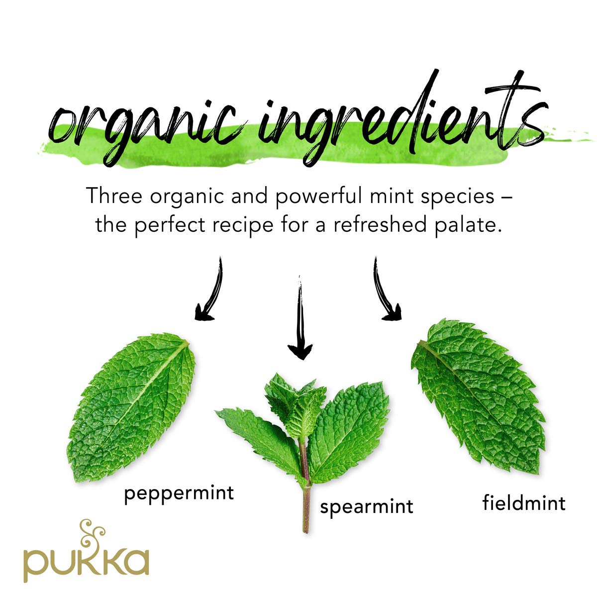 Pukka Organic Tea Bags, Three Mint Herbal Tea, Perfect for Cooling Refresh, 20 Count (Pack of 6) 120 Tea Bags