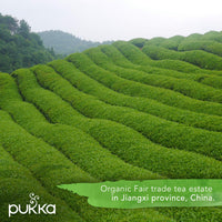 Pukka Supreme Matcha Green, Organic Herbal Green Tea with Oothu, Sencha & Suio Gang, 20 Count (Pack of 3)