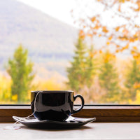 Japanese Sencha Green Tea, Loose Leaf Green Tea, Caffeine, Unflavored & Unsweetened | 8oz Bulk Tea, 80-100 Cups, Single Origin Premium Green Tea from Japan | The Spice Hut, First Sip of Tea