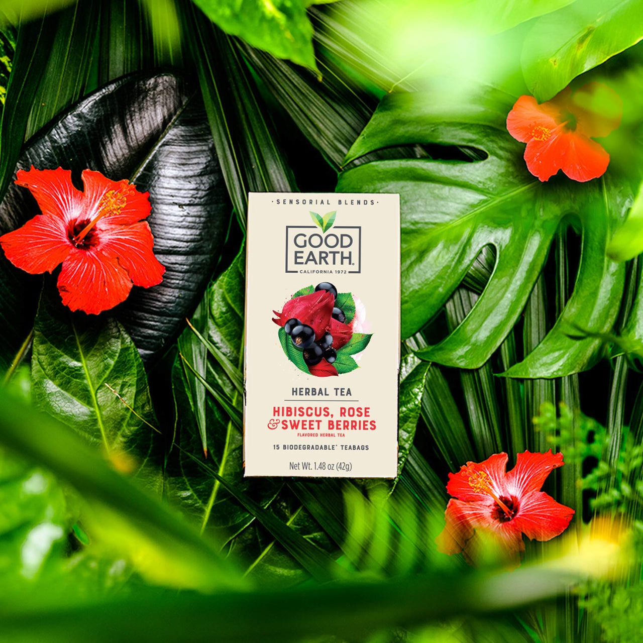 Good Earth Sensorial Blend Flavored Herbal Tea Hibiscus, Rose and Sweet Berries, No Artificial Color, No Preservatives,15 Count (Pack of 5)