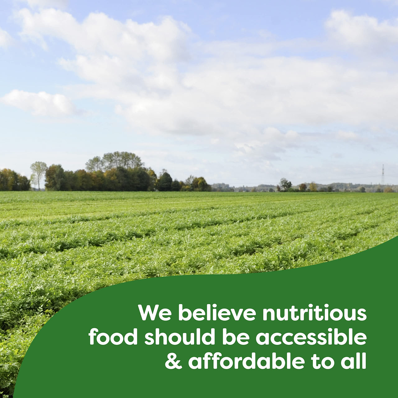 Knorr Gravy Mix For Delicious Easy Meals and Side Dishes Roasted Chicken Gravy No Artificial Flavors, No Added MSG 1.2 oz (Pack of 2)