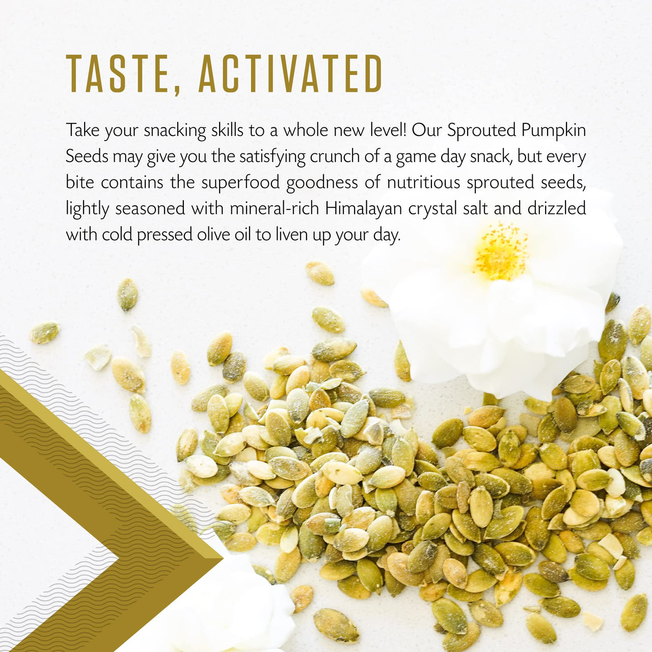 Living Intentions Organic Sprouted Pumpkin Seeds: Salted  NonGMO  Gluten Free  Vegan Kosher  Paleo - 8 Ounce Unit
