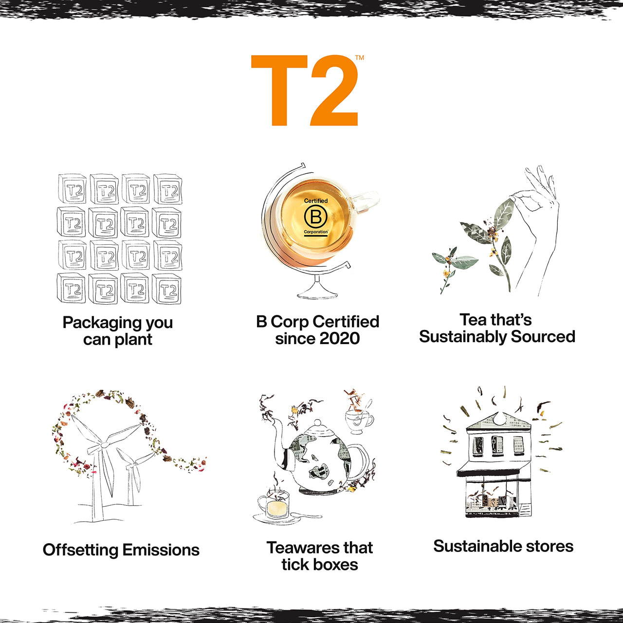 T2 Green Rose Green Tea, Loose Leaf Green Tea in Gift Cube, 3.5 Oz (T115AE010)
