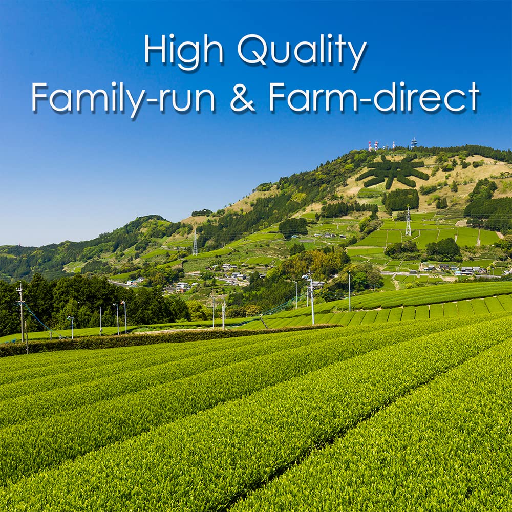 [Sugimoto Tea] Enrich Hojicha Teabags, Rich Toasty Japanese Green Tea, Low-Caffeine Evening Treat, Rich, Toasty Flavor, Compostable Pyramid Bags (20 Teabags x 3 Packs)