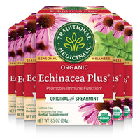 Traditional Medicinals Organic Echinacea Plus Seasonal Tea, 96 Tea Bags(Pack of 6)