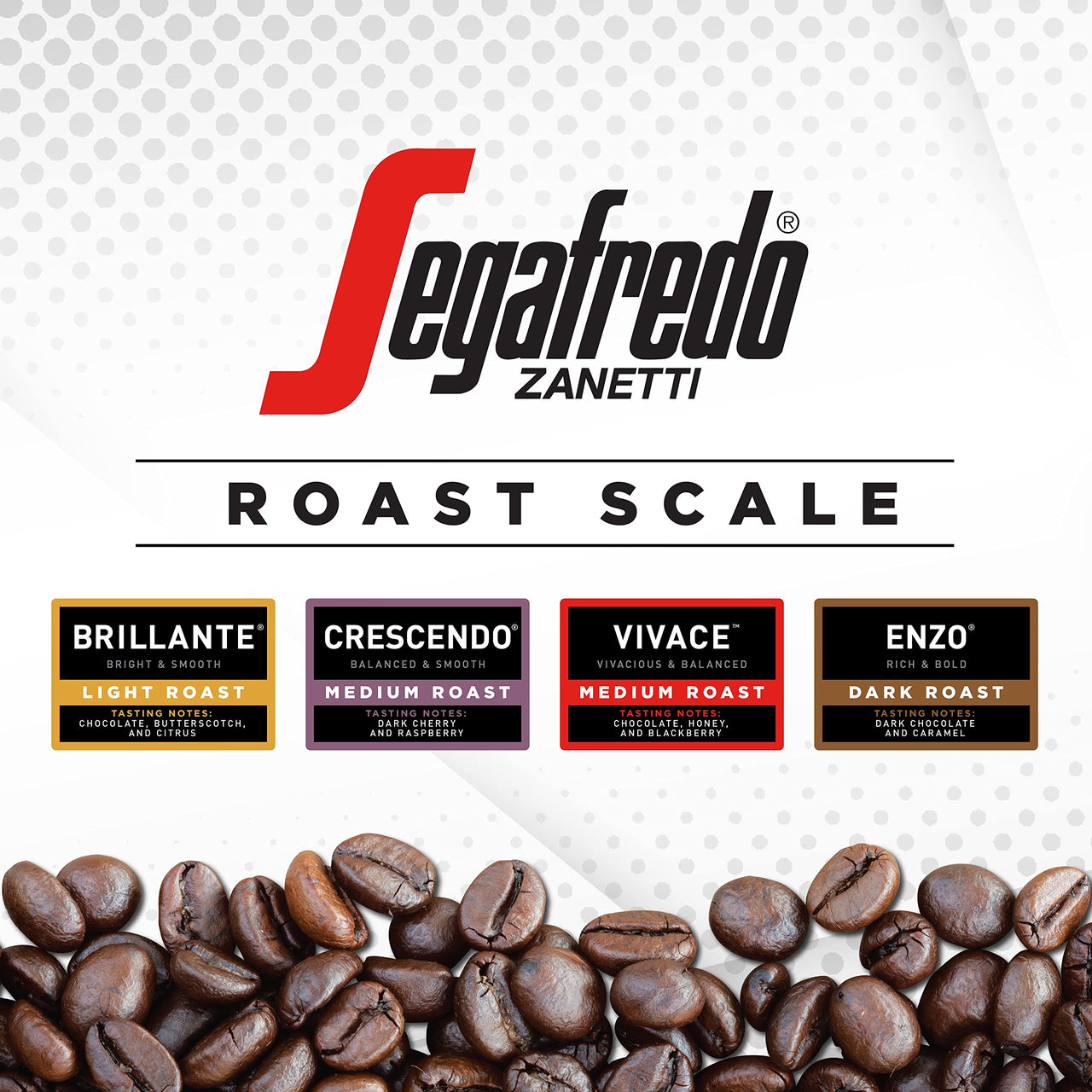 Segafredo Zanetti Tempo Blend Whole Bean Coffee, Vivace Medium Roast  10 Oz Bag  Made With Arabica Coffee, World-Class Coffee Experience, Vivacious & Balanced Flavor