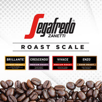 Segafredo Zanetti Tempo Blend Whole Bean Coffee, Vivace Medium Roast  10 Oz Bag  Made With Arabica Coffee, World-Class Coffee Experience, Vivacious & Balanced Flavor
