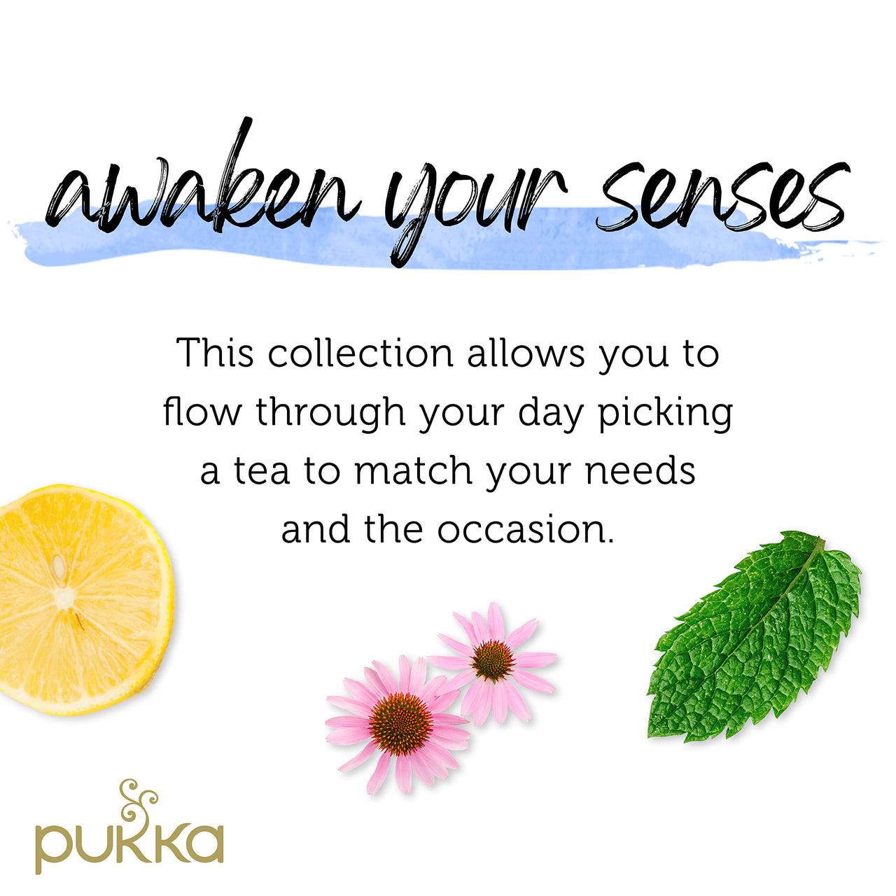 Pukka Tea Variety Pack, Organic Herbal Tea Bags, Five Flavors; Elderberry & Echinacea, Lemon, Ginger & Manuka Honey, Night Time, Three Mint and Detox, 20 count (Pack 0f 3)