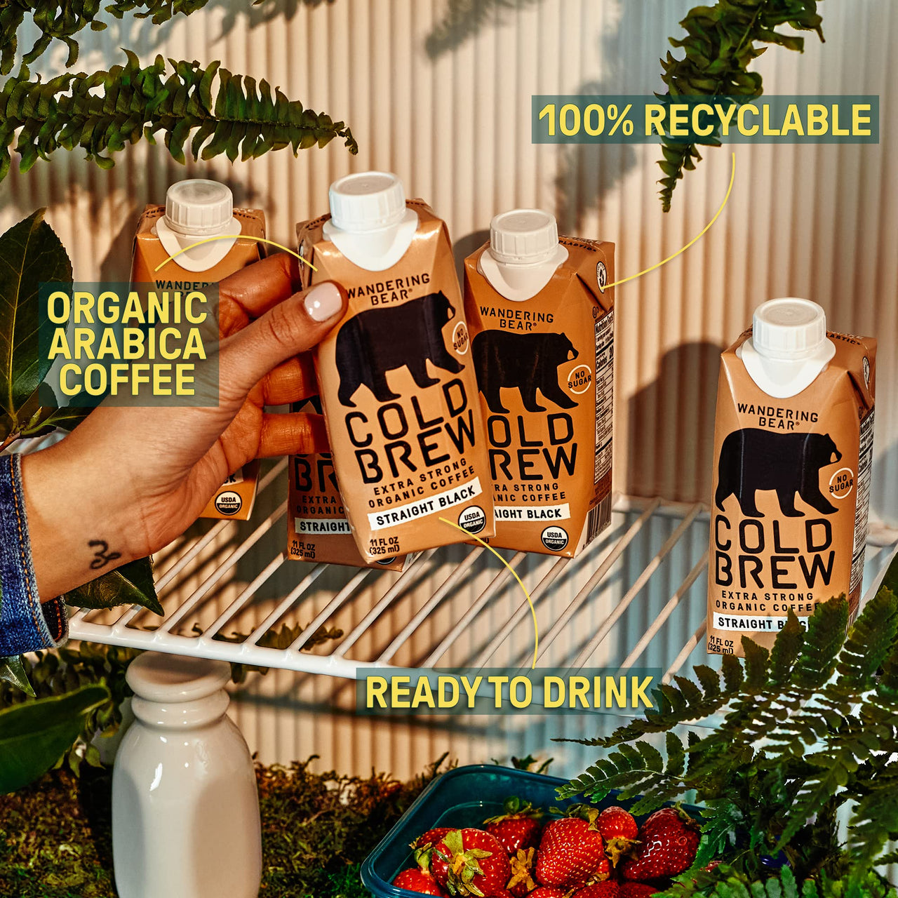 Wandering Bear Organic Straight Black Cold Brew Coffee On-the-Go, 11 fl oz, 1 pack - Extra Strong, Smooth, Organic, Unsweetened, Shelf-Stable, and Ready to Drink