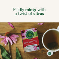 Traditional Medicinals Organic Echinacea Plus Seasonal Tea, 96 Tea Bags(Pack of 6)