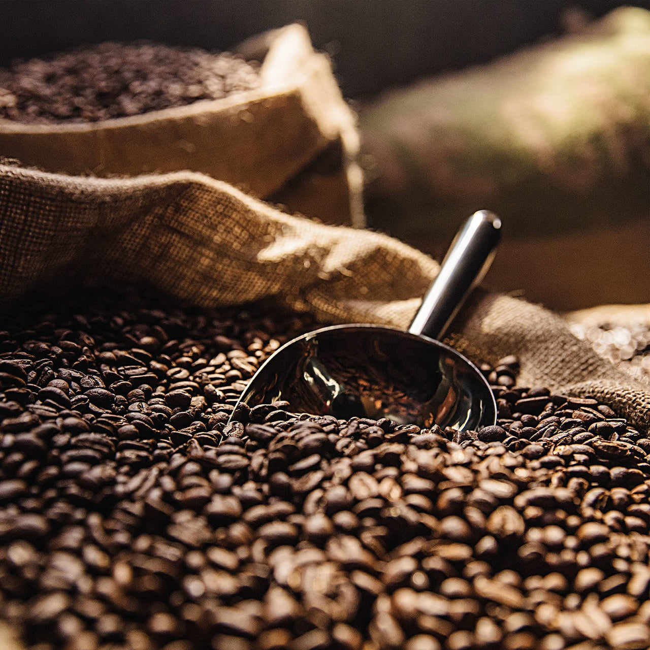 Green Mountain Coffee Roasters Sumatra Reserve, Ground Coffee, Dark Roast, Bagged 10 oz (Package May Vary)