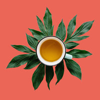 Blueberry Rooibos, Loose Leaf Tea - Elderberry, Hibiscus, Apple - Caffeine Free, Immune Boost Cold Care, Hot & Iced | bulk 8oz, 80-100 cups | The Spice Hut, First Sip of Tea